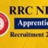 RPSC Statistical Officer Recruitment 2025 – Apply Online for 113 Vacancies